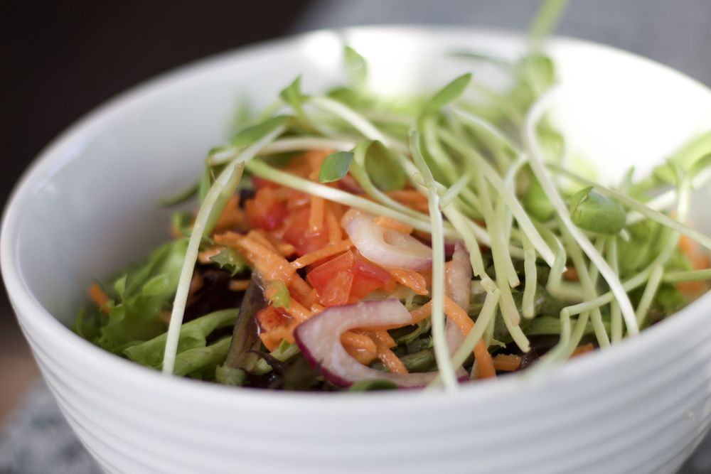 Darbster Bistro2