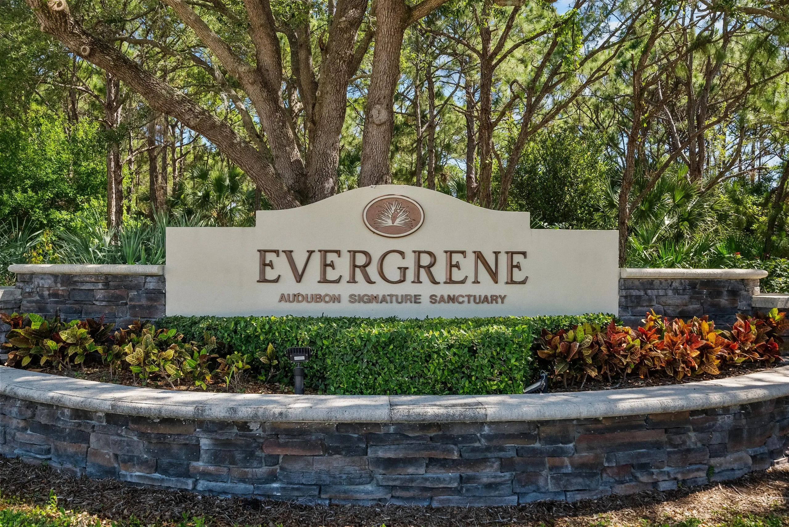 Evergrene1