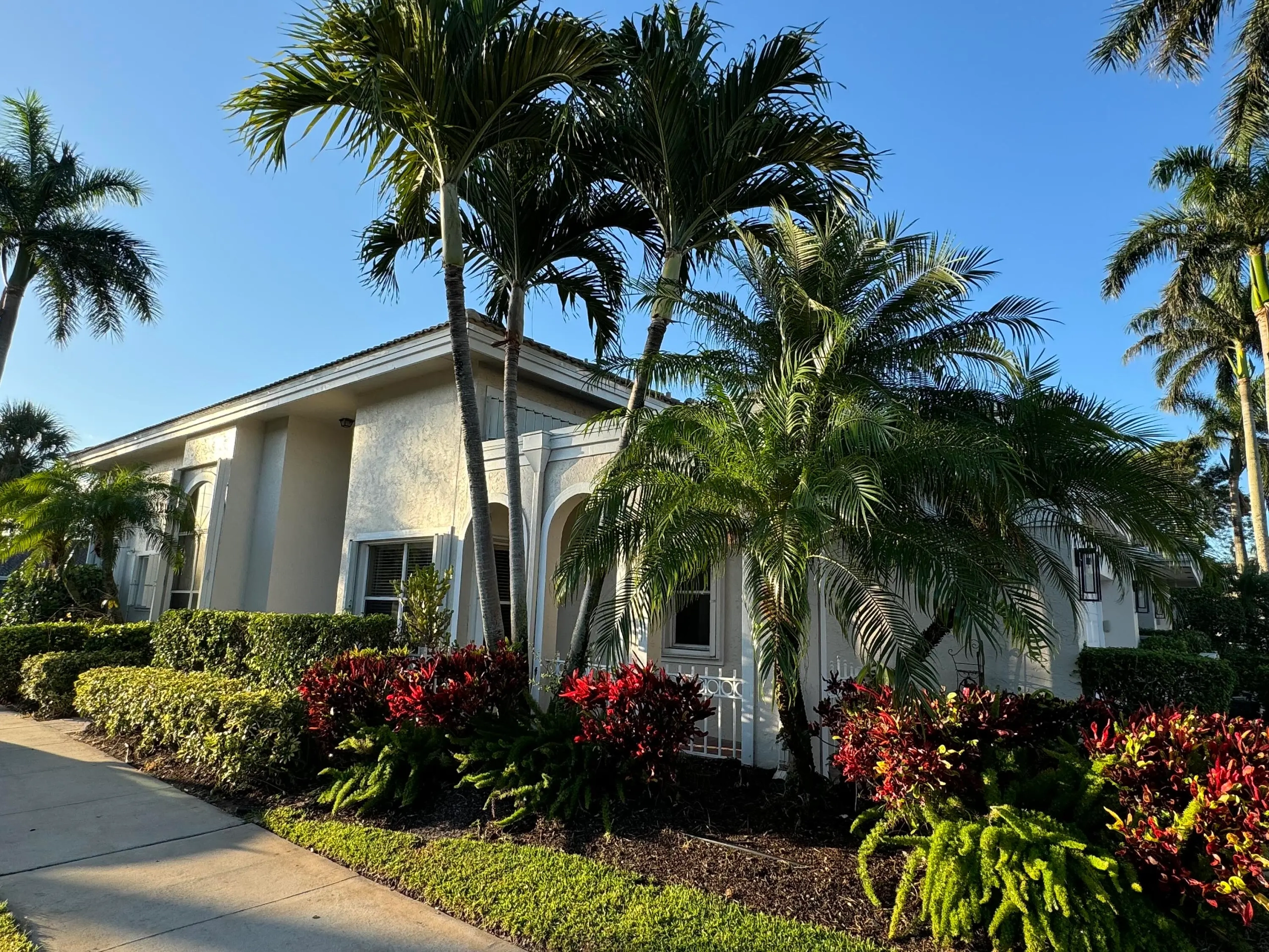 The Polo Club1