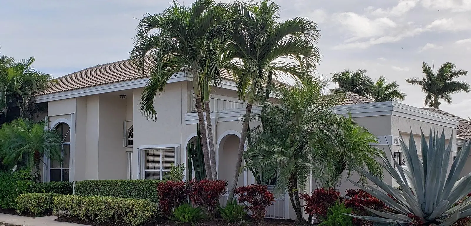 The Polo Club2
