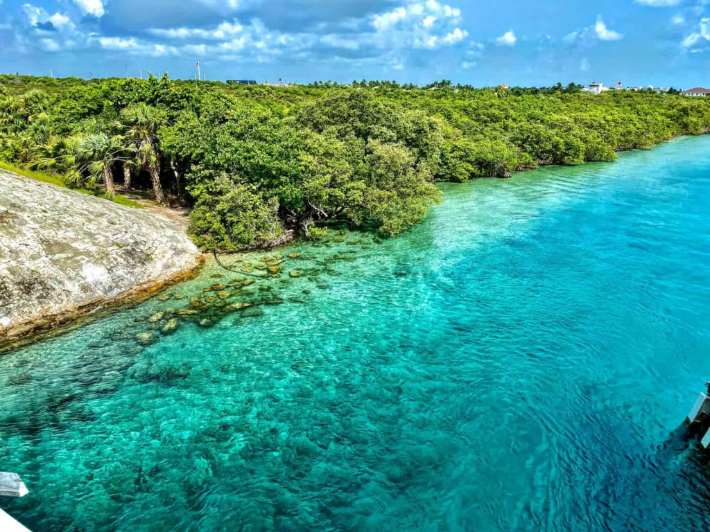 Palm Beach Gardens Real Estate: Top Buyer’s Agent Services