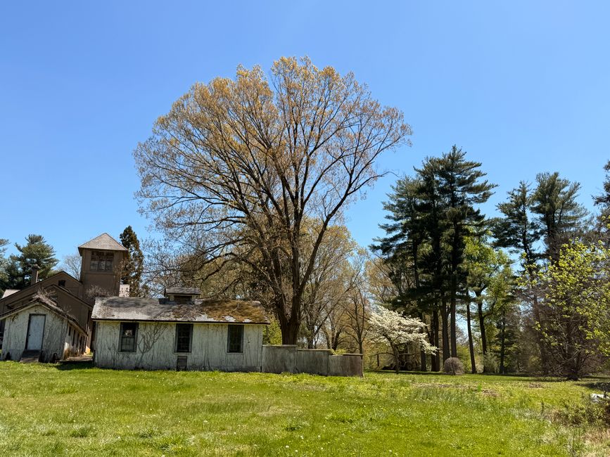 Sonoma Isles vs Bridgewater: Comparing Two of Jupiter’s Premier Communities