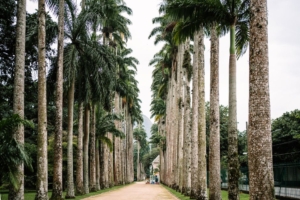 Jupiter Farms vs Palm Beach Country Estates