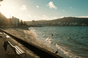 best neighborhoods Wellington 2026