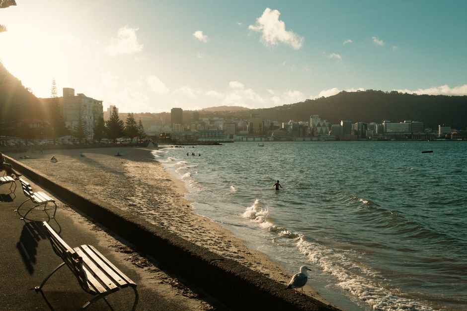 Wellington vs Westlake: Best Neighborhoods Wellington 2026 Buyers Should Compare First
